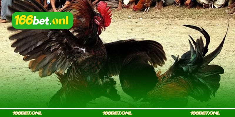 Como Aumentar as Habilidades de Golpe e Ataque