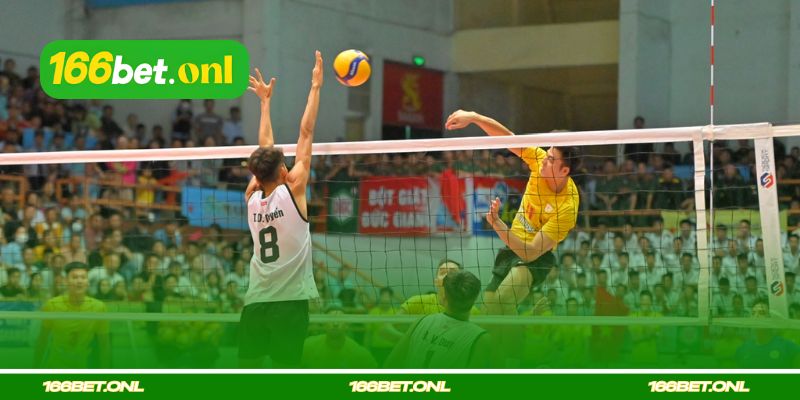 Guia de apostas em vôlei pelas regras básicas do jogo