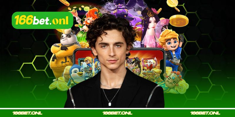 Informações sobre o CEO da 166bet – Lucas