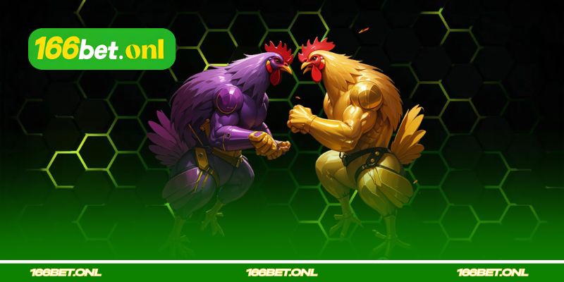 O Jogo Especial de Rinha de Galos Thomo