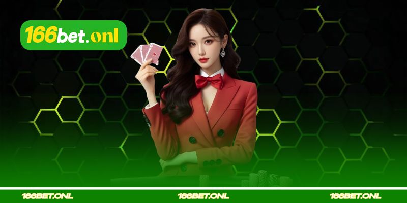 Por que não deixar de fazer o Contato 166bet