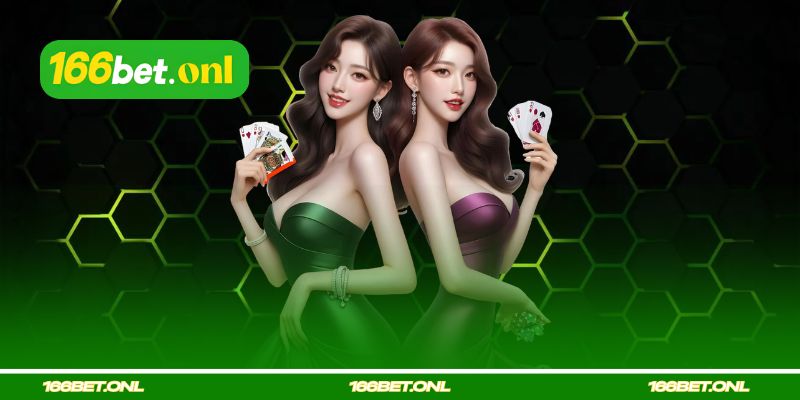 Regulamentação Relacionada à Conta do Usuário