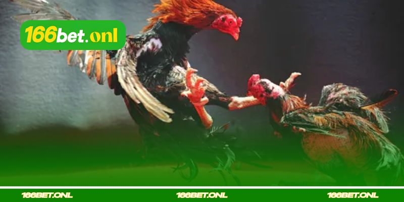 Seguir boatos sem verificar