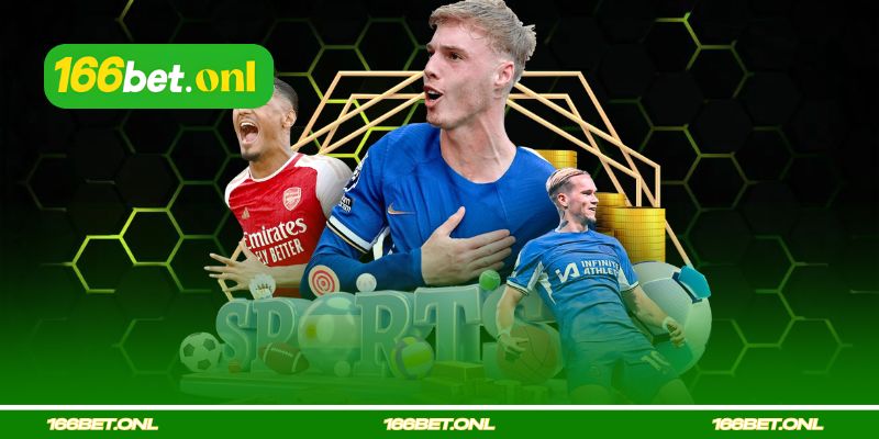 Visão Geral da Plataforma de Apostas Esportes 166bet